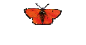 Asyl