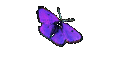 Geschenk