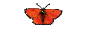 Geschenk